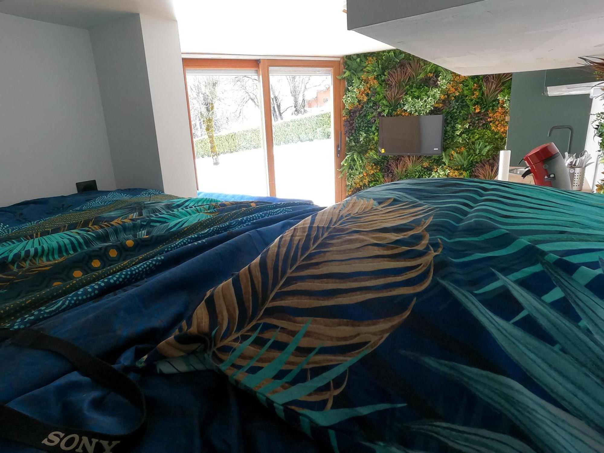 Apartamento Jungle Au Centre Des Carroz *